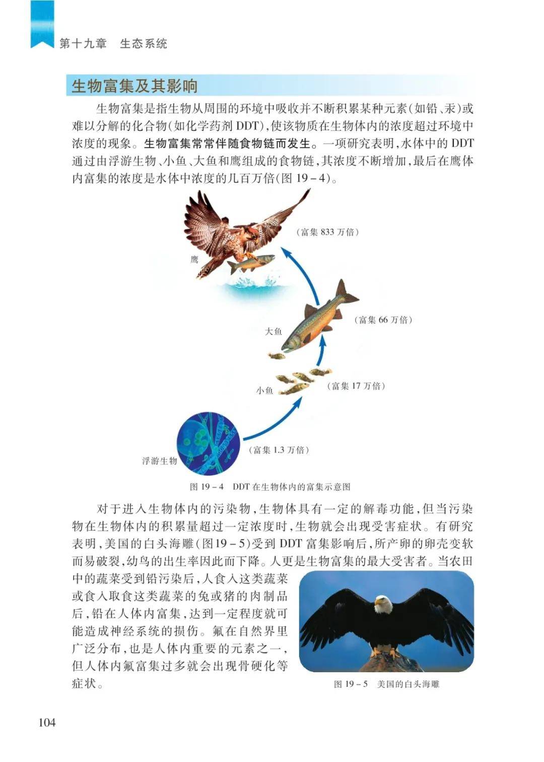 文章配图-20