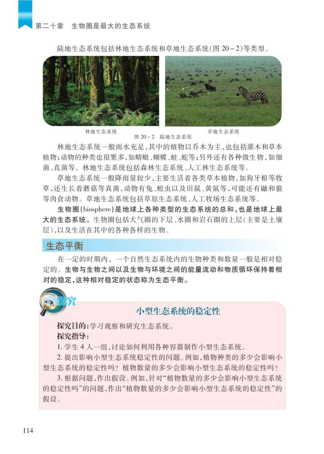 文章配图-30