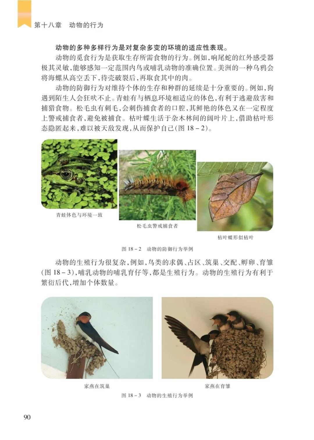 文章配图-6