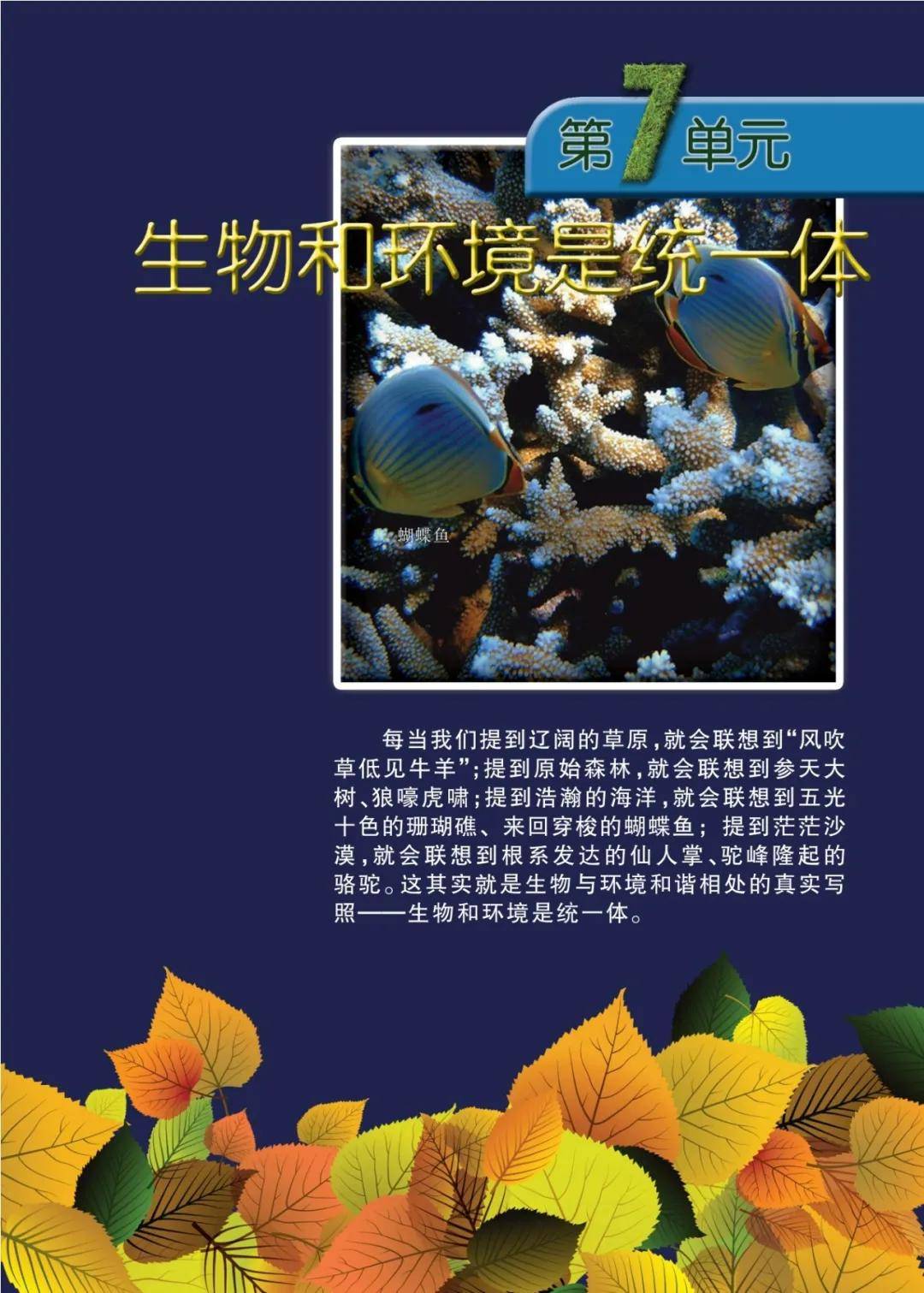 文章配图-15