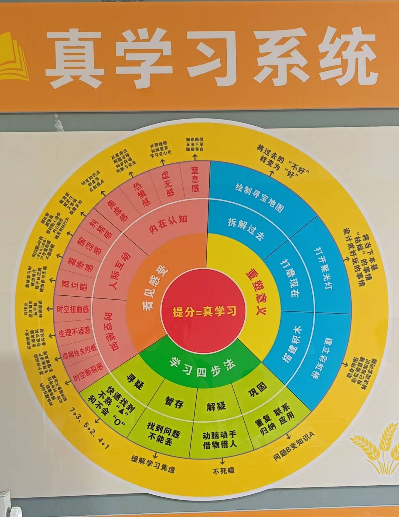 真学习系统.jpg