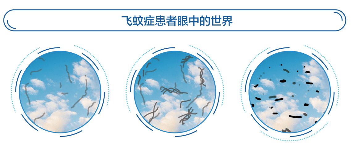 飞蚊世界.png