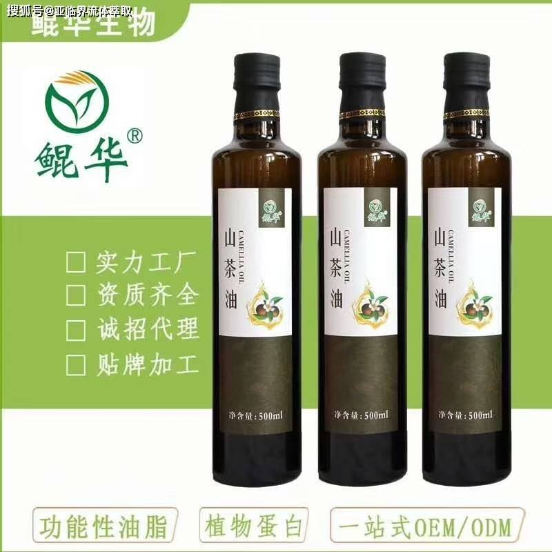 微信图片_20260805164133_56_315.jpg