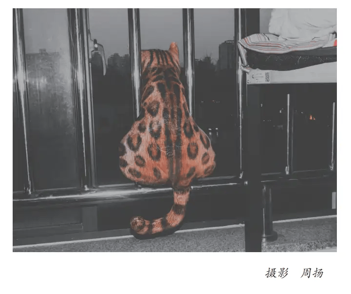 提取自我不是差生正文去标2026.4.28改_306.png