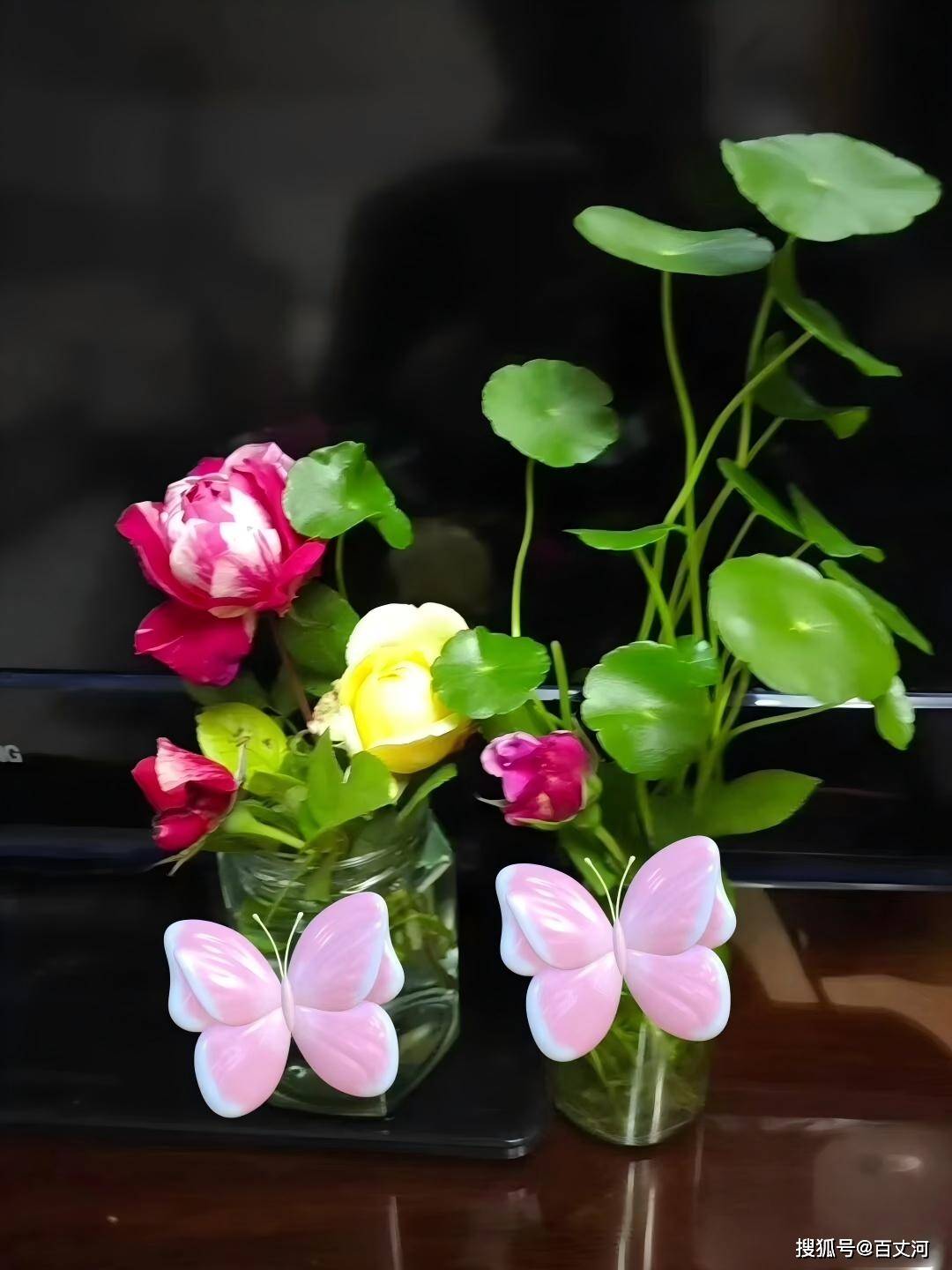 草花11.jpg