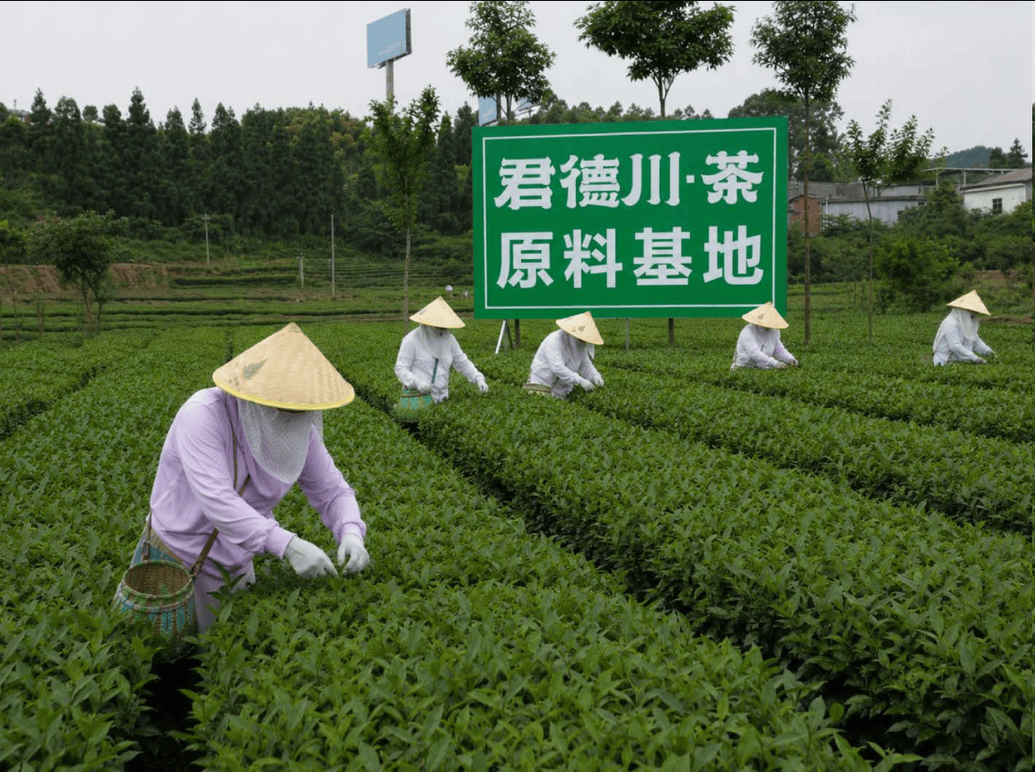 图片.png