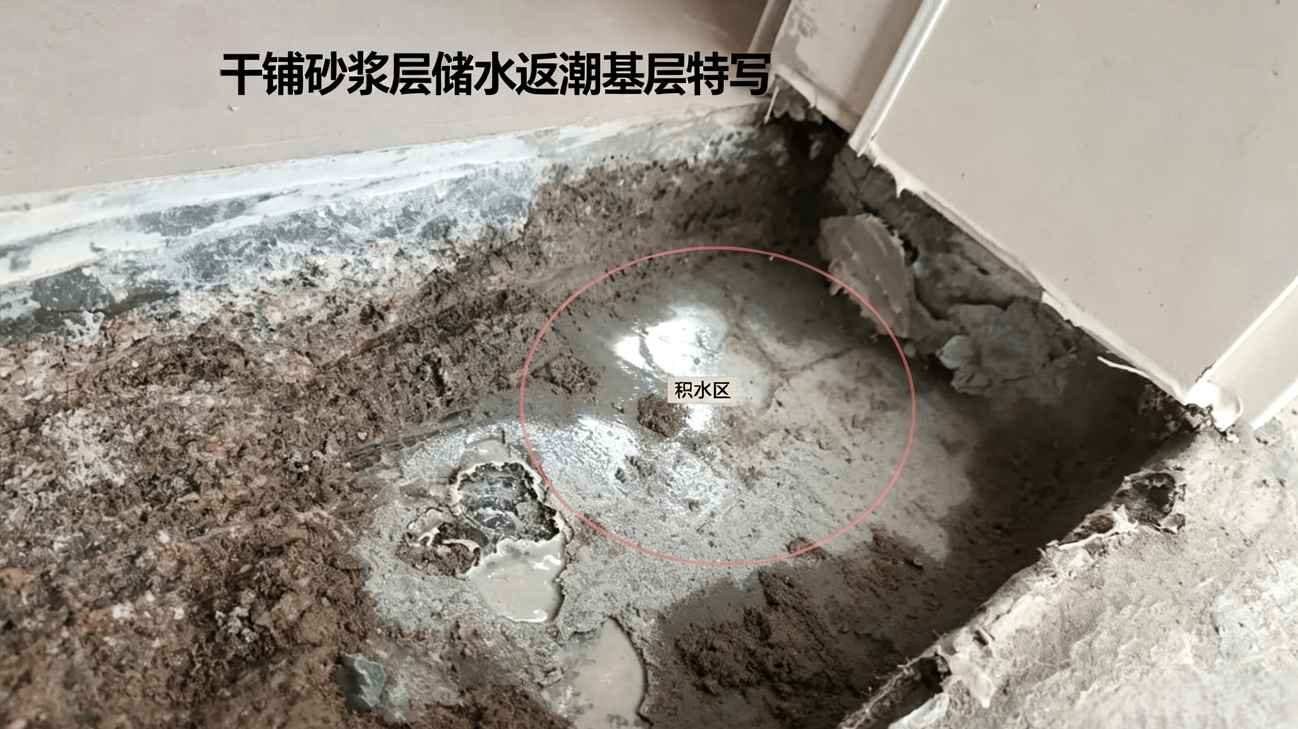 微信图片_202607281357341.png