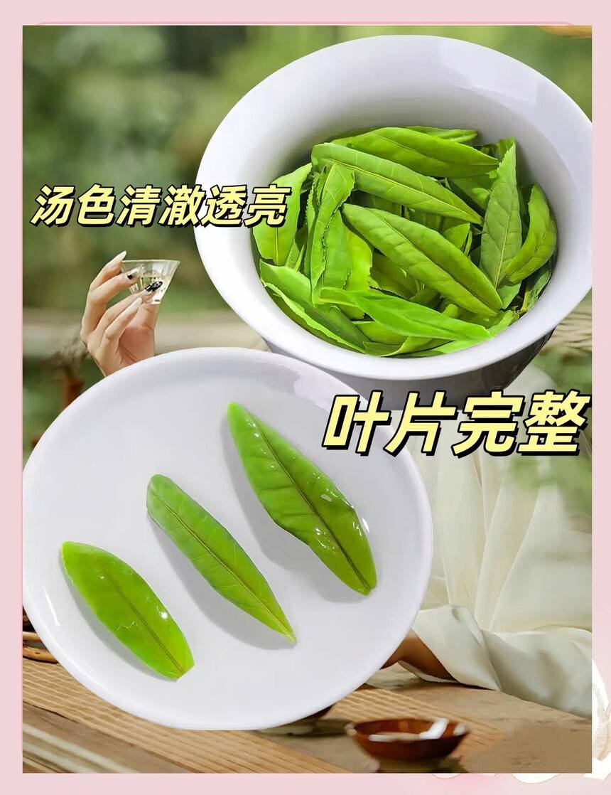 六安瓜片.jpg