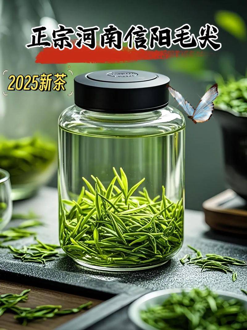 信阳毛尖.jpg