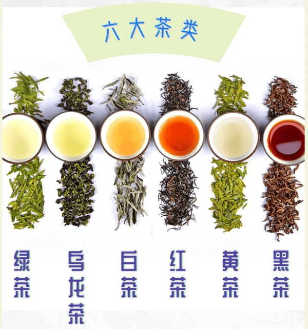 微信图片_20260817102647_508_2.png