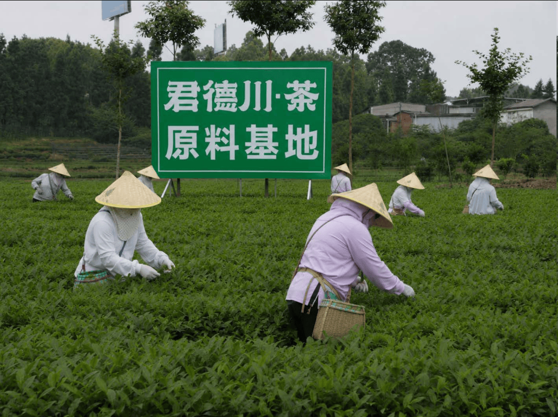 图片.png