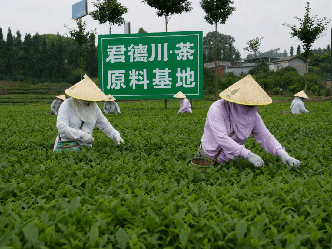 图片.png