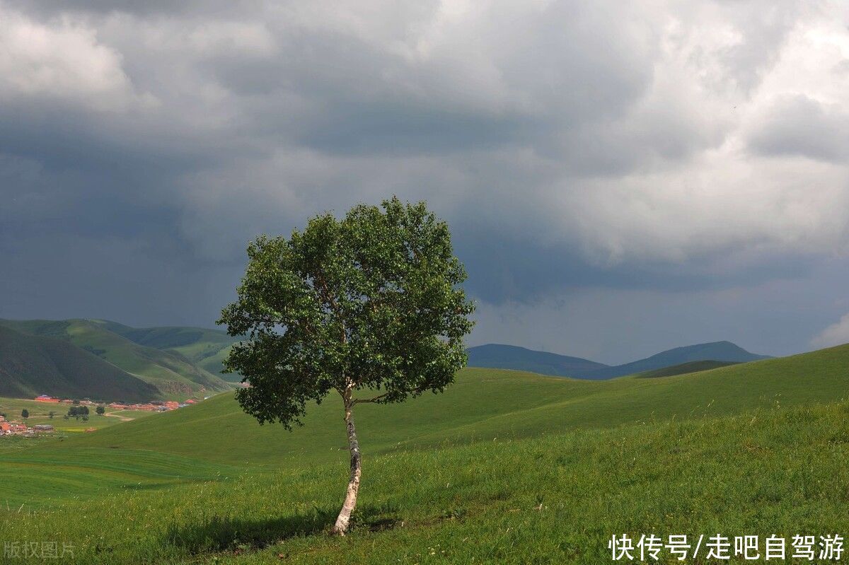 大兴安岭|有一种绝美，叫草原的夏天，有一种青春，叫我们的毕业旅行