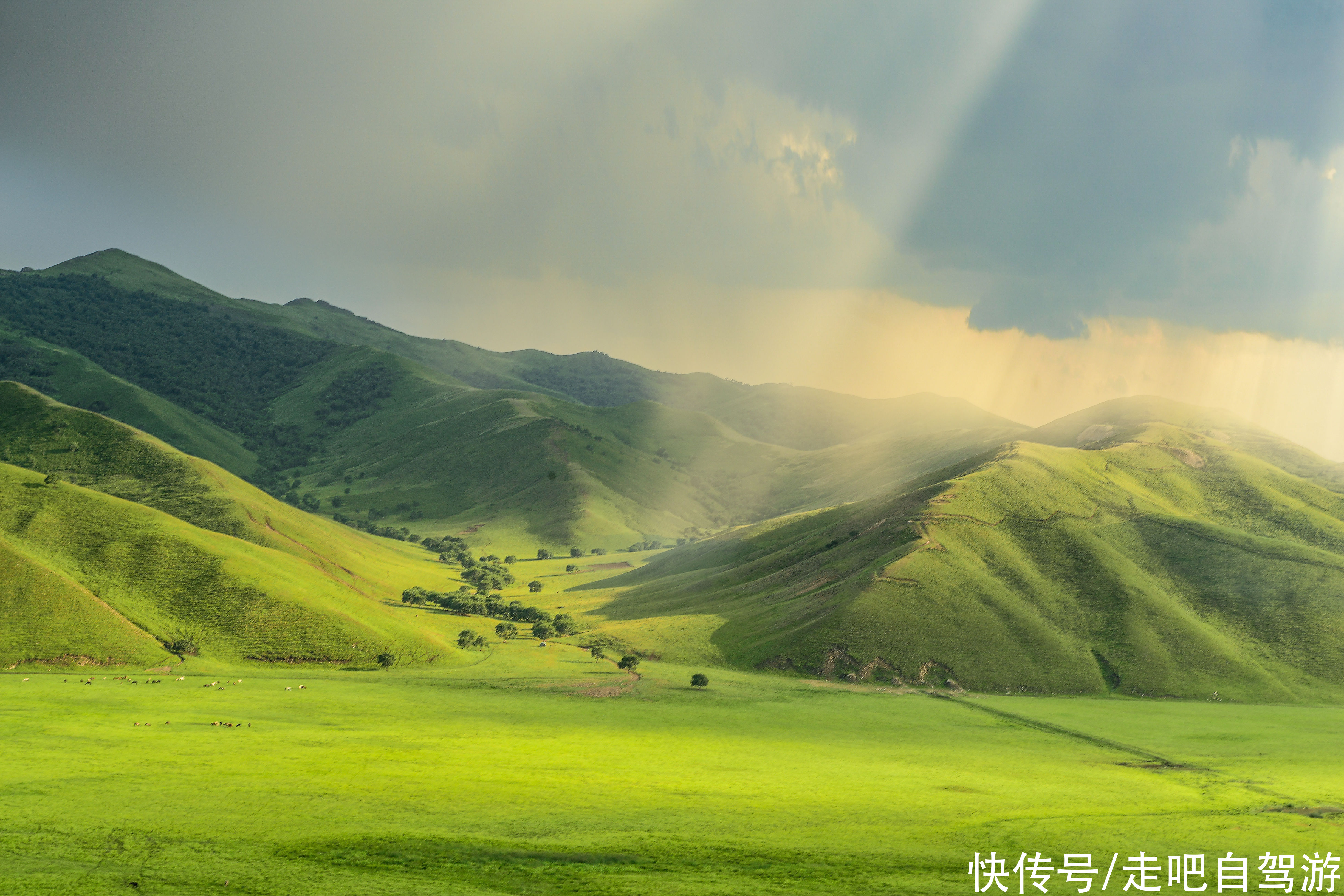 大兴安岭|有一种绝美，叫草原的夏天，有一种青春，叫我们的毕业旅行