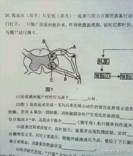 惊呆了！看看