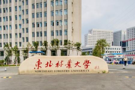 林业工程考研学校排名