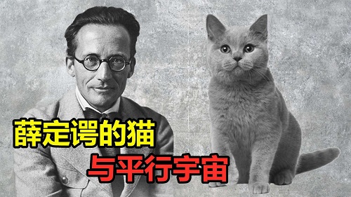 薛定谔的猫是什么意思 薛定谔的猫说明了什么道理？