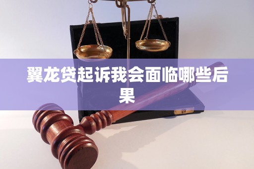 翼龙贷起诉我会面临哪些后果