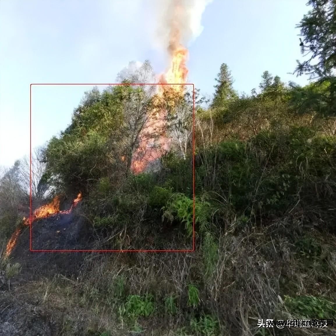 森林火灾监控预警系统_消防计算软件_森林防火监控预警系统