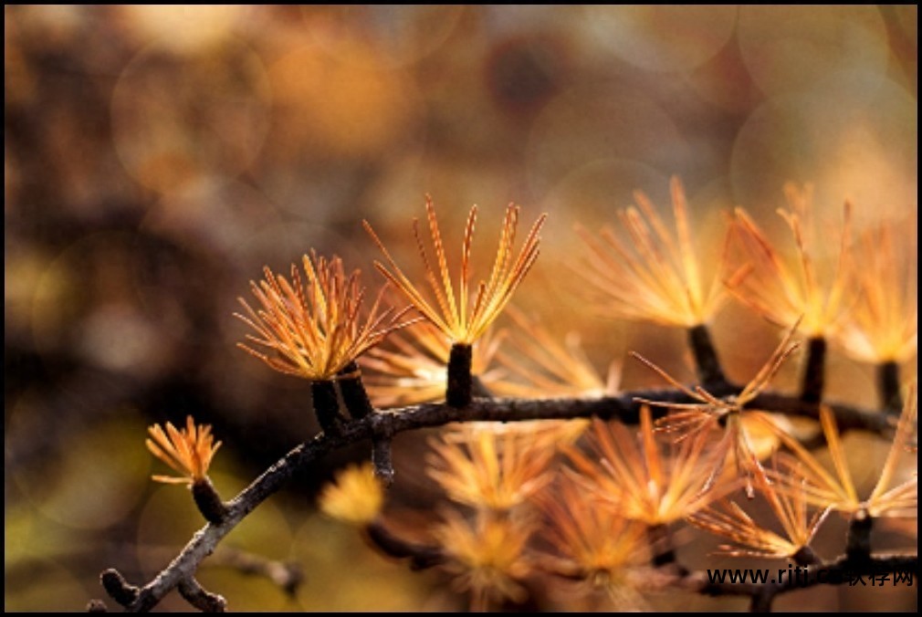手机版测量员软件教程_测量员软件使用视频教程_测量员手机软件使用教程