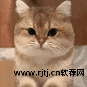 邮件群发软件中的发送线程是指_qq邮件群发软件_邮件群发软件有哪些