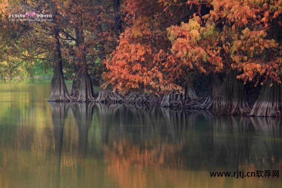 婚纱照片p图软件_照婚纱的软件p图背景图片_婚纱照p图软件