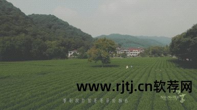 制作婚礼视频的软件_婚礼视频免费制作软件_视频婚礼制作软件哪个好