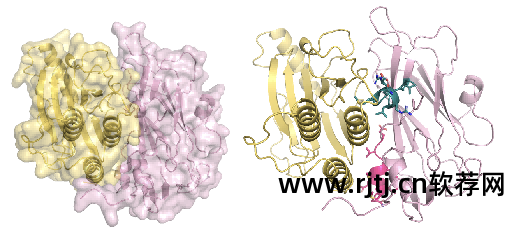 聚类分析的软件_聚类分析应用实例_r软件在聚类分析