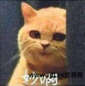 安卓科学上网软件_安卓科学的上网工具_科学安卓上网软件叫什么