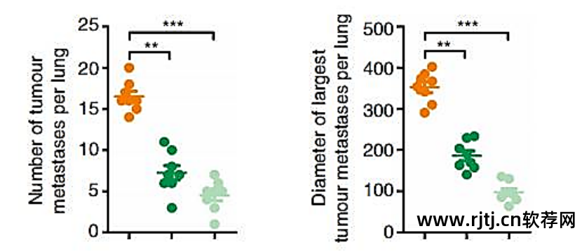 作图软件_作图软件app_作图软件哪个好用