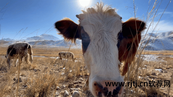 视频剪辑教程快手软件免费_视频剪辑教程快手软件哪个好_快手视频剪辑软件教程