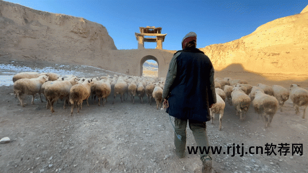 视频剪辑教程快手软件免费_快手视频剪辑软件教程_视频剪辑教程快手软件哪个好