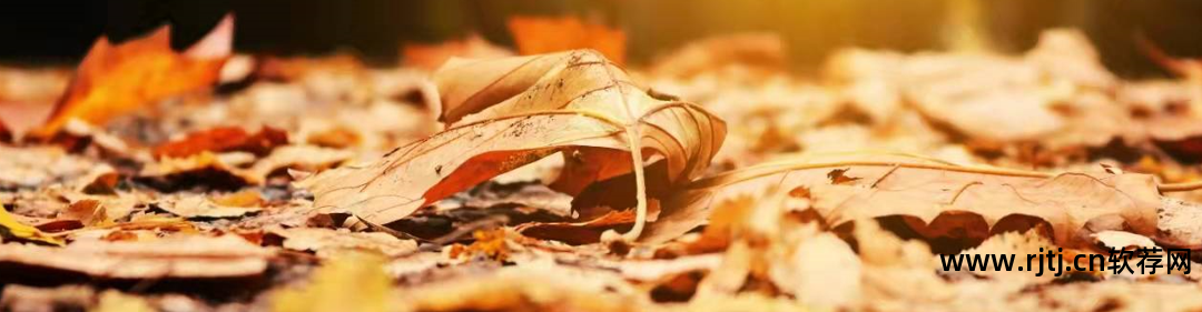 手机充电软件哪个好用_充电软件手机好用吗_最好的手机充电软件