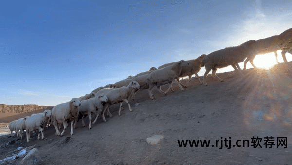 快手视频剪辑软件教程_视频剪辑教程快手软件免费_视频剪辑教程快手软件哪个好