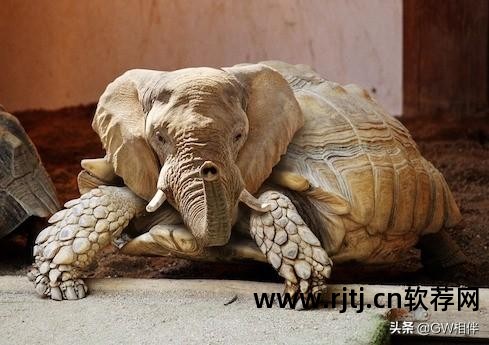 恶意软件清除助手_windows恶意软件清理助手_恶意程序清除工具