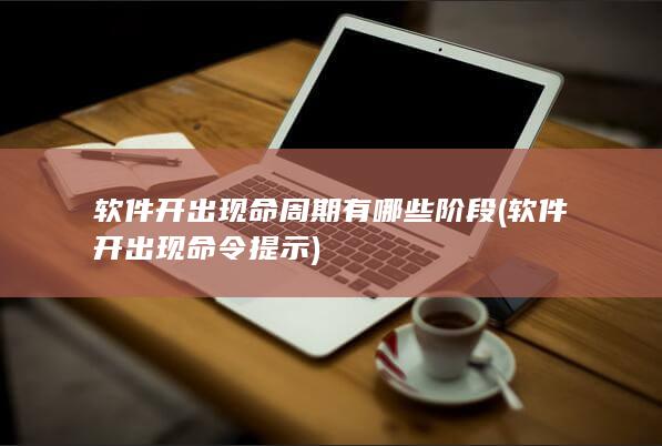 软件开出现命令提示