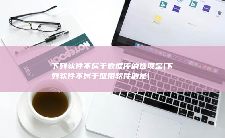 下列软件不属于应用软件的是