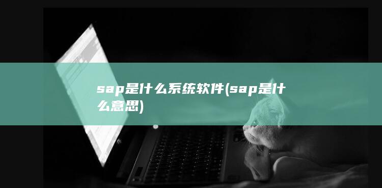 sap是什么系统软件