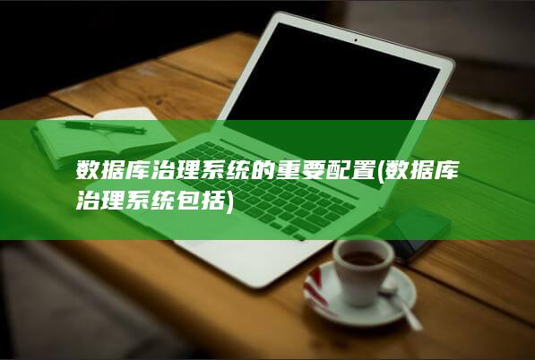 数据库治理系统的重要配置