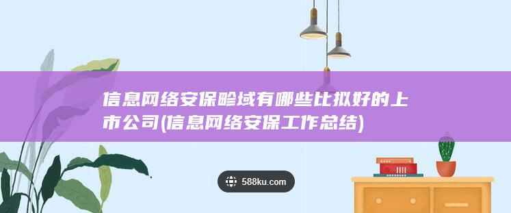 信息网络安保工作总结