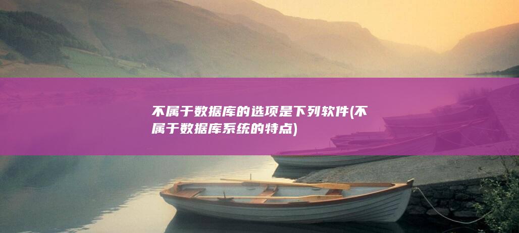 不属于数据库的选项是