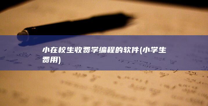 小在校生收费学编程的软件