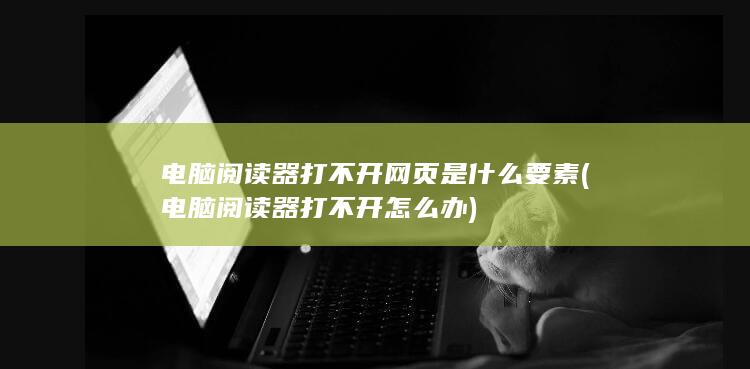 电脑阅读器打不开怎么办