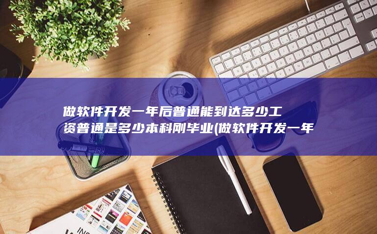 做软件开发