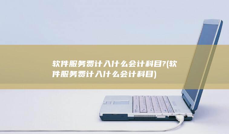 软件服务费计入什么会计科目