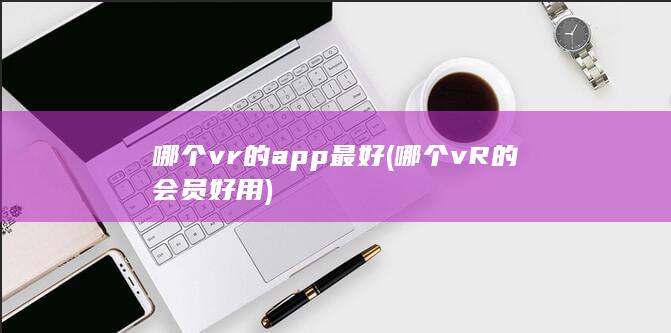 哪个vR的会员好用