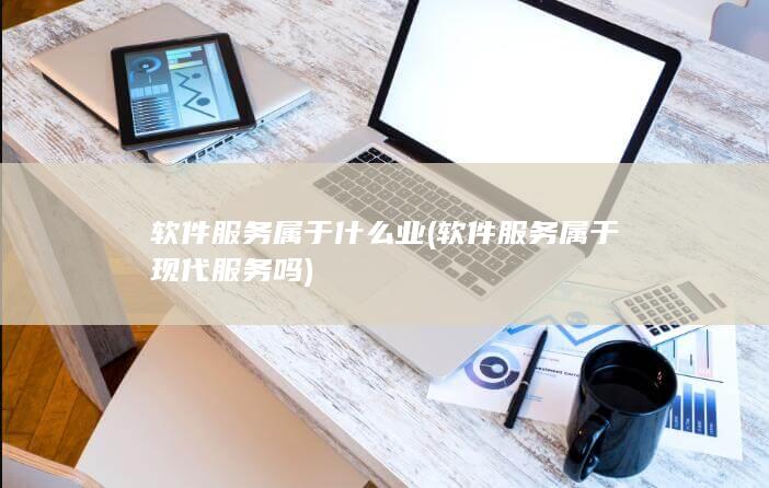 软件服务属于现代服务吗