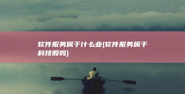 软件服务属于科技股吗