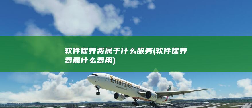 软件保养费属于什么服务