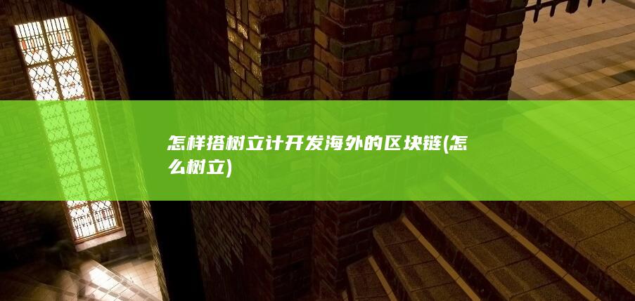 怎样搭树立计开发海外的区块链